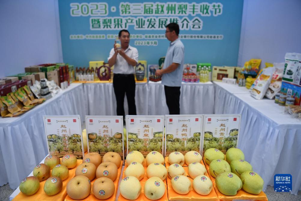 bbin直营网站多少?